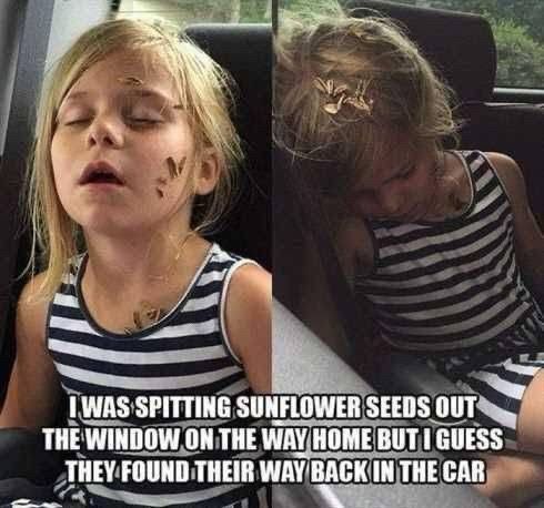 (Little sleeping girl with sunflower shells stuck all over her)

I WAS SPITTING SUNFLOWER SEEDS OUT THE WINDOW ON THE WAY HOME BUT I GUESS THEY FOUND THEIR WAY BACK IN THE CAR