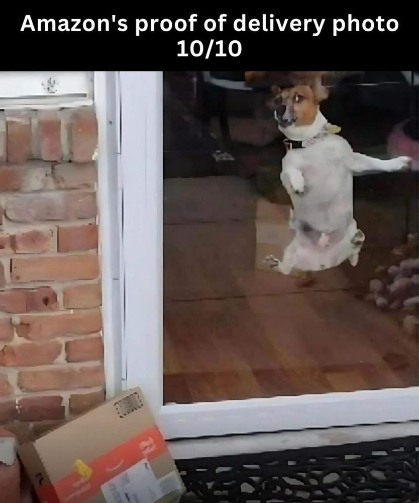 (A dog inside a glass door, leaping in the air and barking) Amazon's proof of delivery photo 10/10