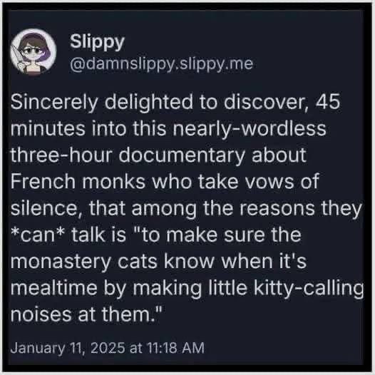 Slippy @damnslippy.slippy.me
Sincerely delighted to discover, 45 minutes into this nearly-wordless three-hour documentary about French monks who take vows of silence, that among the reasons they
*can* talk is "to make sure the monastery cats know when it's mealtime by making little kitty-calling noises at them."