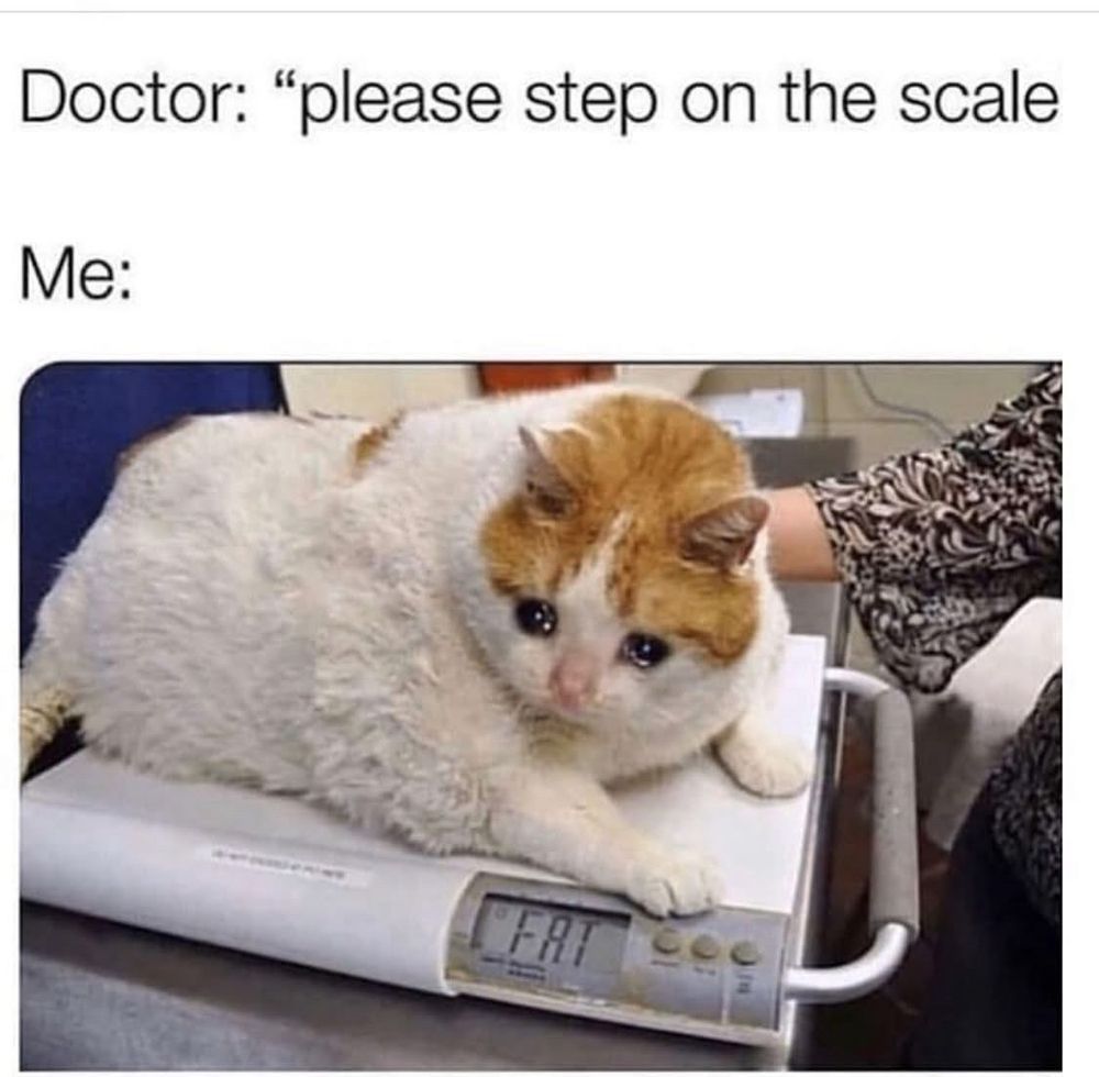 Doctor: "please step on the scale”
Me: (a plump cat on the scale with tears, and the scale says “Fat”)