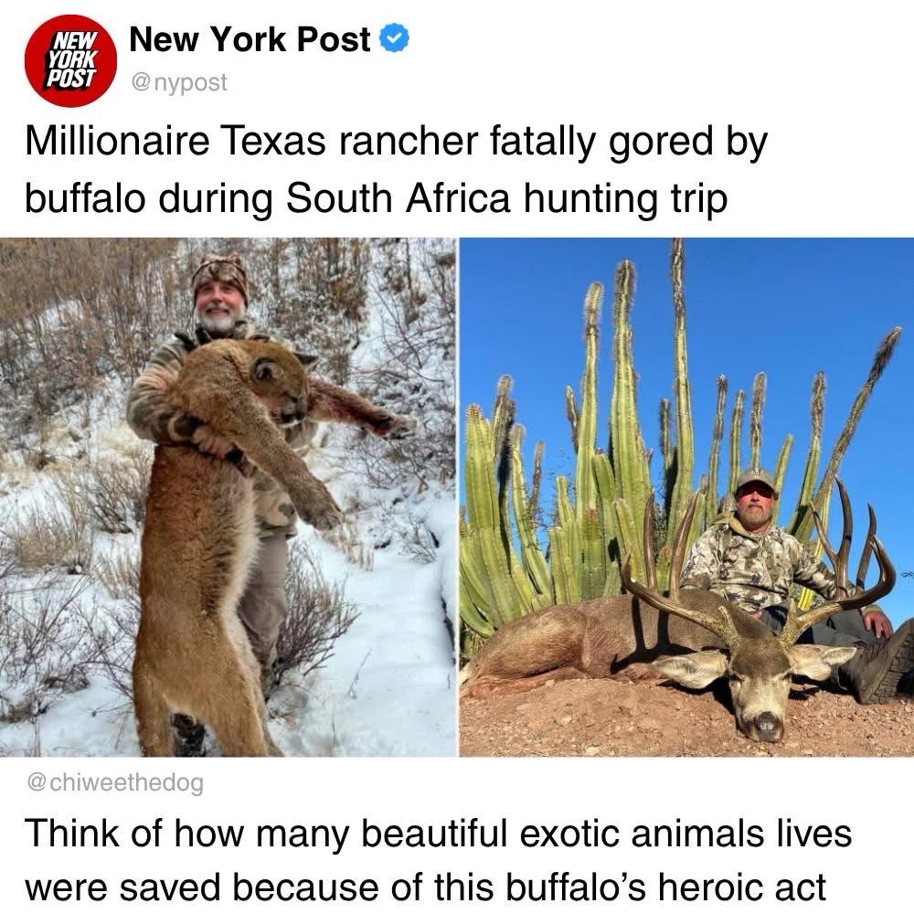 NEW YORK POST Millionaire Texas rancher fatally gored by buffalo during South Africa hunting trip @chiweethedog Think of how many beautiful exotic animals lives were saved because of this buffalo's heroic act