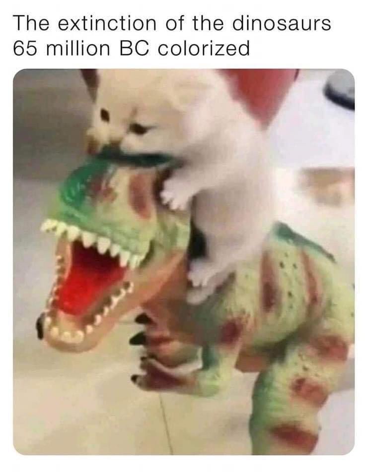 (Kitten biting T-Rex on the head)

The extinction of the dinosaurs 65 million BC colorized. 