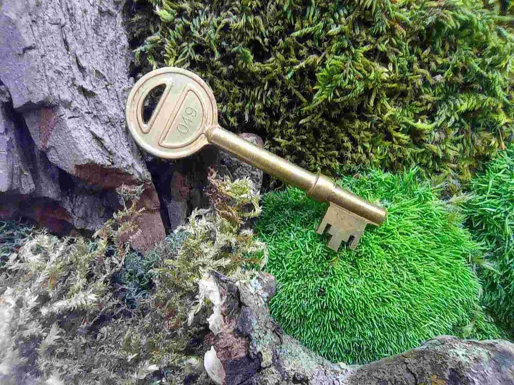 Photo of key on mossy background