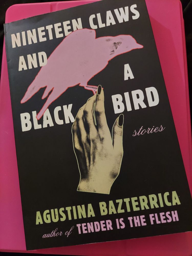 A photo of the short story collection Nineteen Claws and a Black Bird by Agustina Bazterrica at a slight angle on top of a pink case.