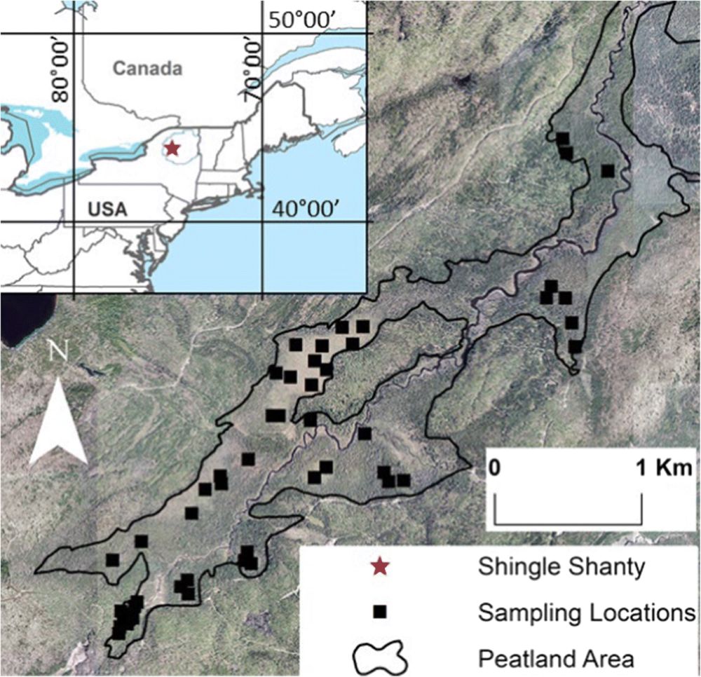 Tree Encroachment Varies by Plant Community in a Large Boreal Peatland Complex in the Boreal-Tempera...