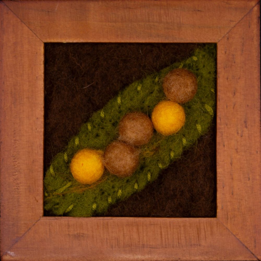 Five needle felted galls, two yellow, three brown, of Belonocnema fossoria on a needle felt Quercus geminata (Sand Live Oak) leaf.