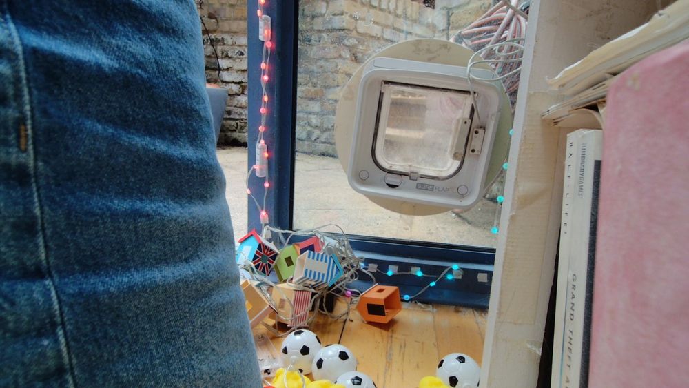 Daphne the cat using her internet connected catflap.
