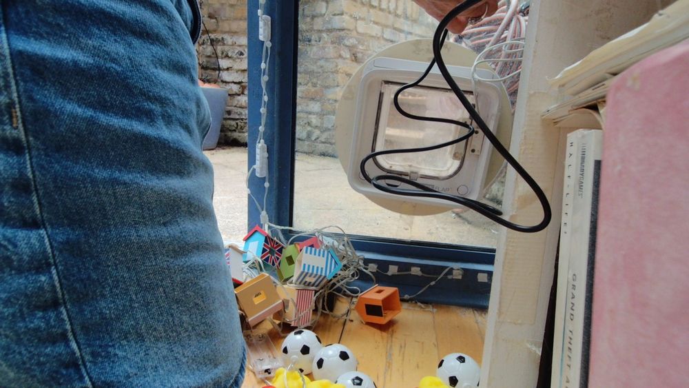 Daphne the cat using her internet connected catflap.