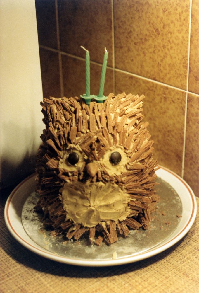 A photo of a birthday cake made to look like an owl. 