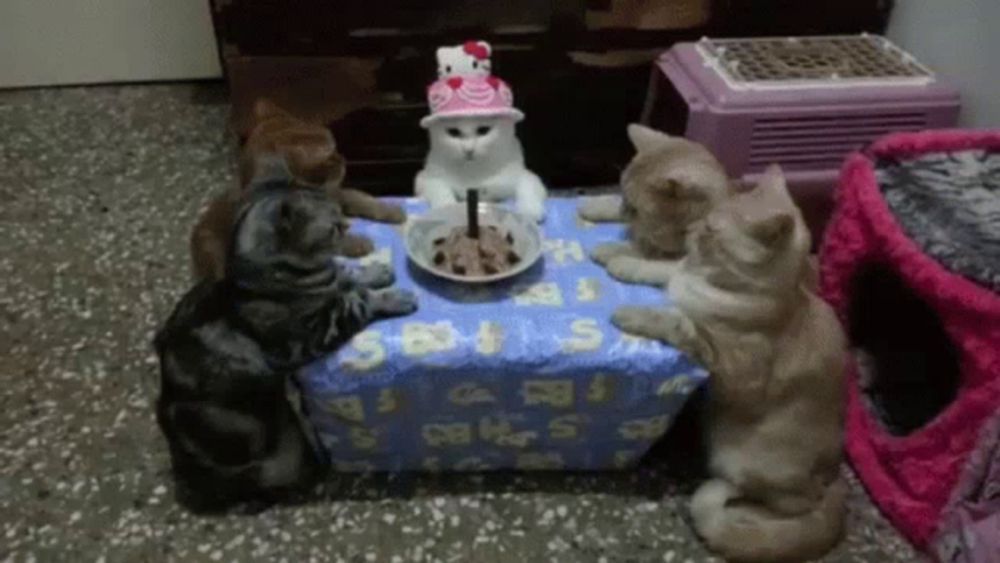 a group of cats sit around a table with a hello kitty cake