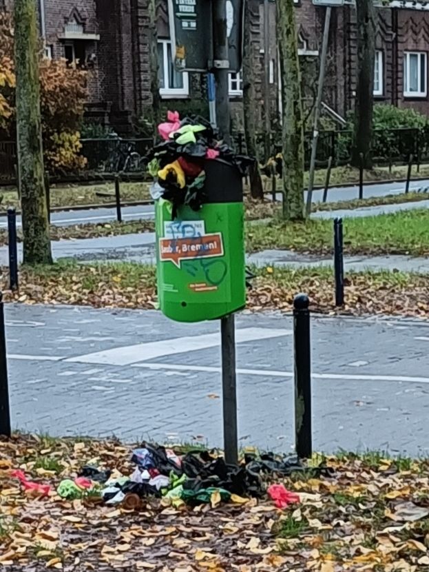 Foto: Mülleimer auf und um den sich Hunde Lackbeutel stapeln.