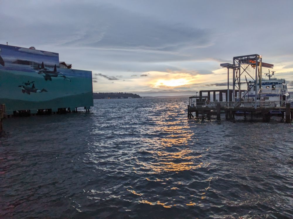 photo of the sun shining over the water between two docks.

