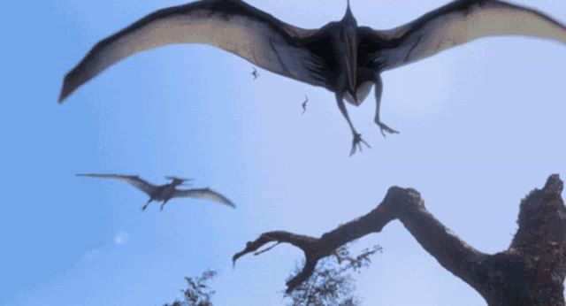 a group of dinosaurs are flying in the sky above a tree branch