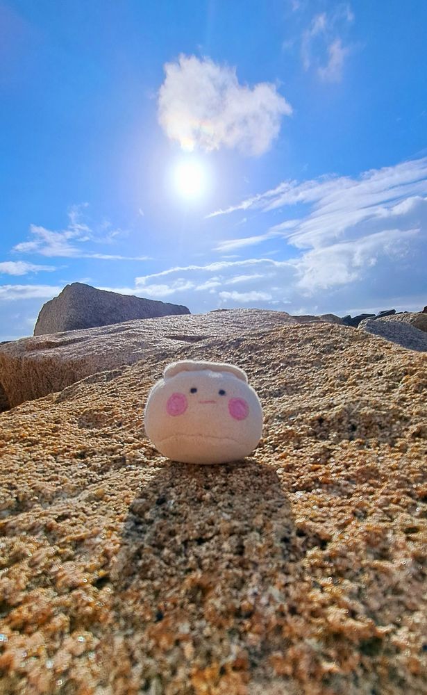 焼売  ぬいぐるみ  ぬい撮り  海