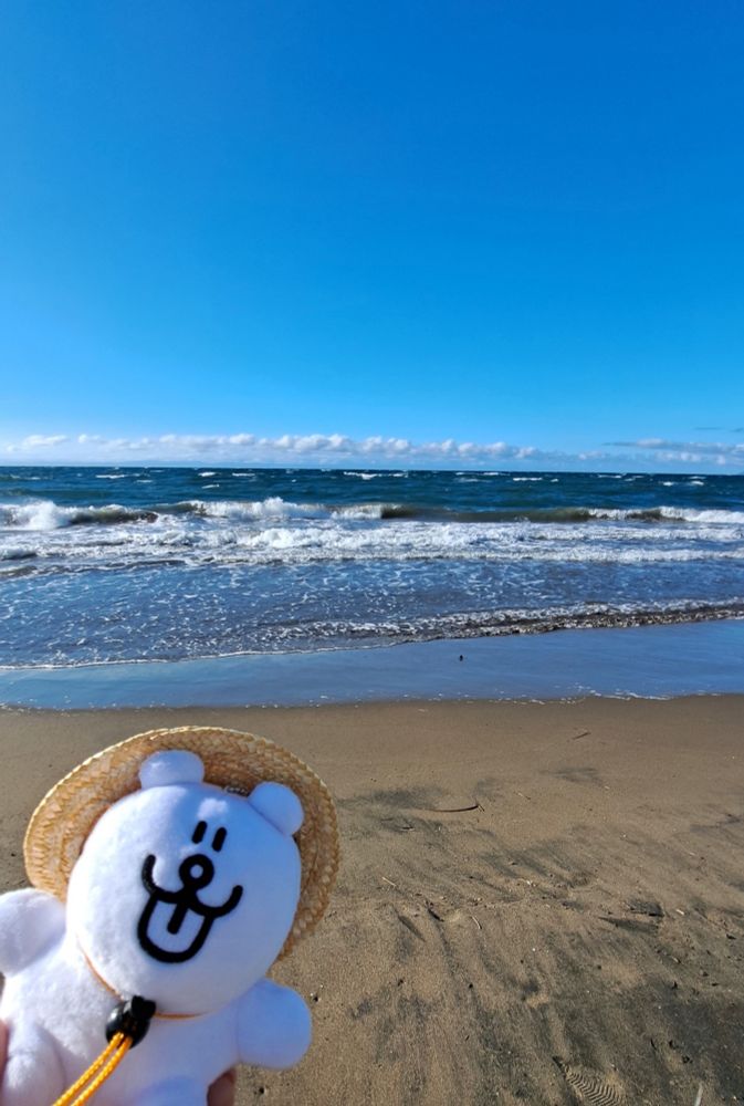 ベンロックマーティン  ベロクマ  福留茜  ぬいぐるみ  ぬい撮り  海