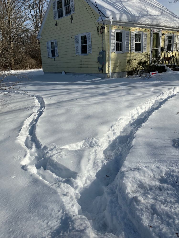 Photo of a snow-covered yard with two sets of tracks leading off in different directions