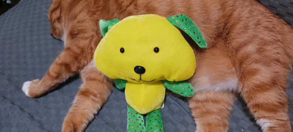 A stuffed toy dog using a fat orange cat 🐈 as a couch.