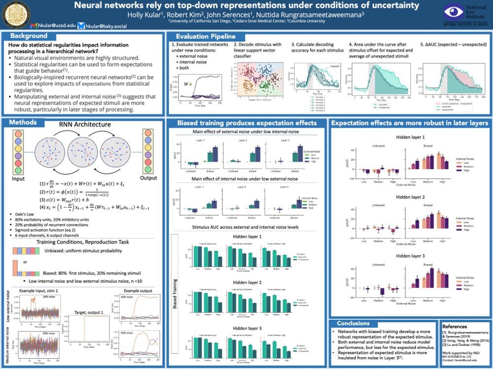 Holly Kular's vision science society poster