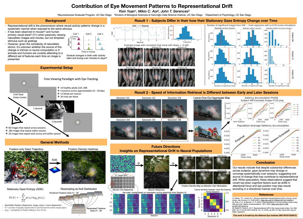 Stella (Yixin) Yuan's vision science society poster