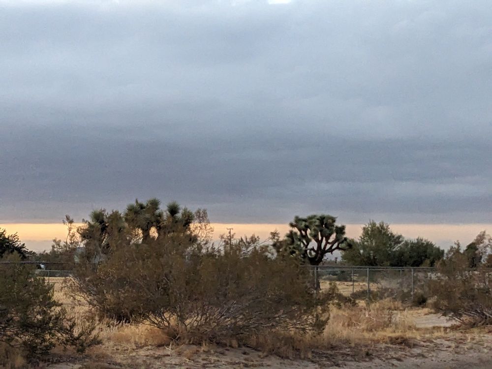 A heavy line of clouds from a storm front over the Mojave Desert with Joshua Trees and creosote bushes 