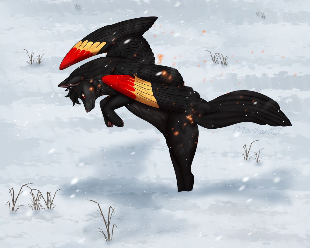 A black winged fox with orange and red wing accents pouncing on something in the snow. Snow is falling and embers float off the fox. 