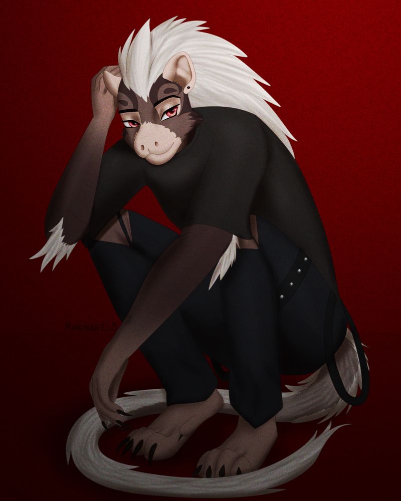 Jayden the Porcupine crouched 