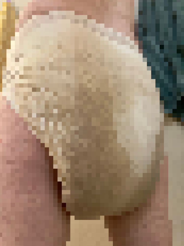 [Image has been censored for the safety of the cuck viewing it]