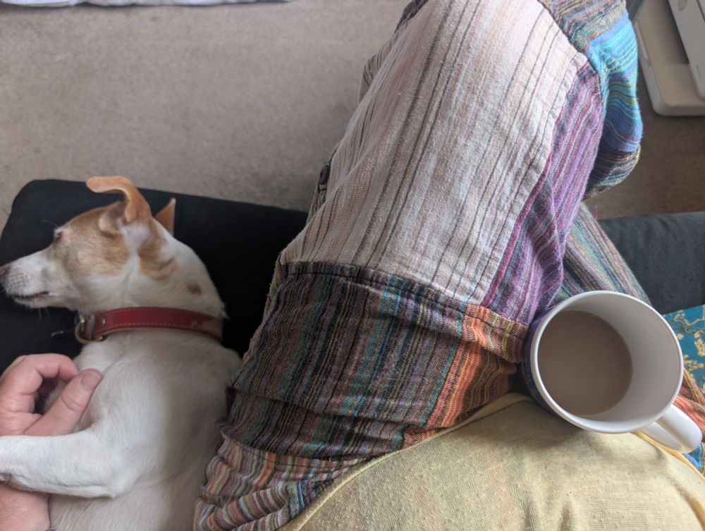 Small white dog asleep next to someone wearing patchwork trousers & a yellow t-shirt who is balancing a cup of tea on her lap 