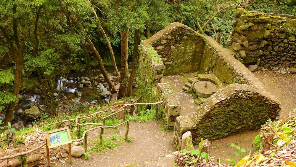 The image shows the ruin of a relatively small natural stone building, inside which lies a horizontal millstone. Around the building, in the foreground, there is a hiking trail with railings and an information board. To the left of the ruin, a path leads down to a small river and a wooden viewing platform located between the trunks of large plane trees. From there, you can get a good view of the “Cascata do Teófilo” waterfall (not visible in the picture). To the right of the mill, you can see the open water pipe made of natural stone, which ends a few metres above the millstone. The kinetic energy of this steep slope was formerly used to drive the stone. Almost exclusively corn was ground, as the climate of the Azores is too humid for e.g. wheat.