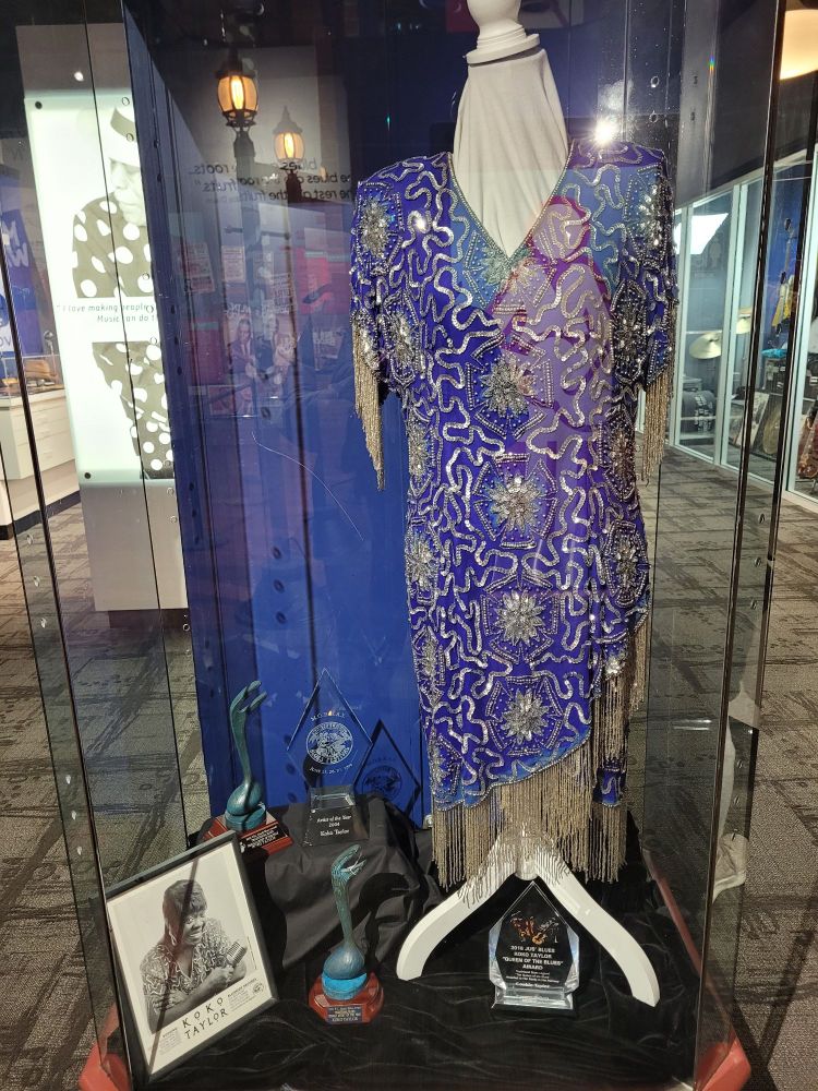 A dress worn by Koko Taylor, housed at the Illinois Rock & Roll Museum.