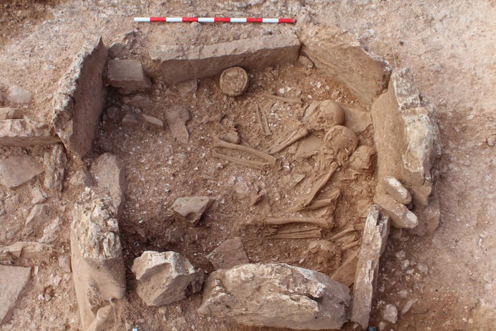 Twice as many women as men were buried in the megalithic necropolis of Panoría, study reveals