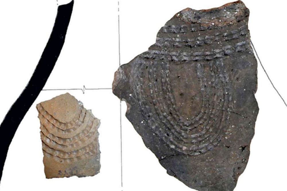 La découverte de traces de produits laitiers datant de 7500 ans bouleverse les connaissances du néolithique des Pyrénées