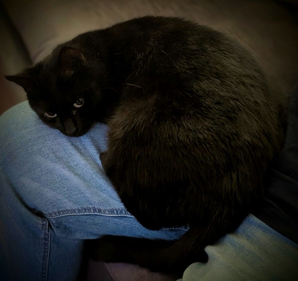 Lilly worried and hunkering down