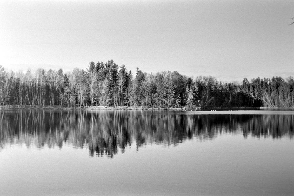 A black and white scene of a lake with a forested bank forming the midline of the image. The trees are reflected clearly (though distorted) in the lake, making an almost symmetrical image. 