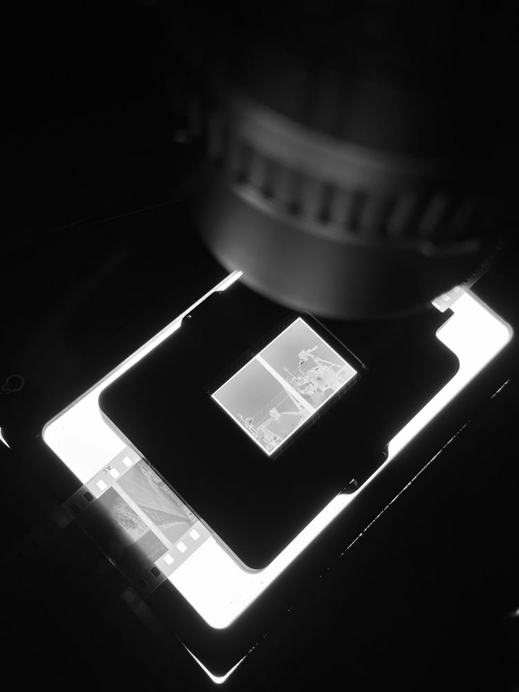 A black and white image of half-frame images on 35mm black-and-white film being “DSLR scanned”. The right image in the scanning frame shows the dslr on as tripod being used to scan a separate roll of film. 