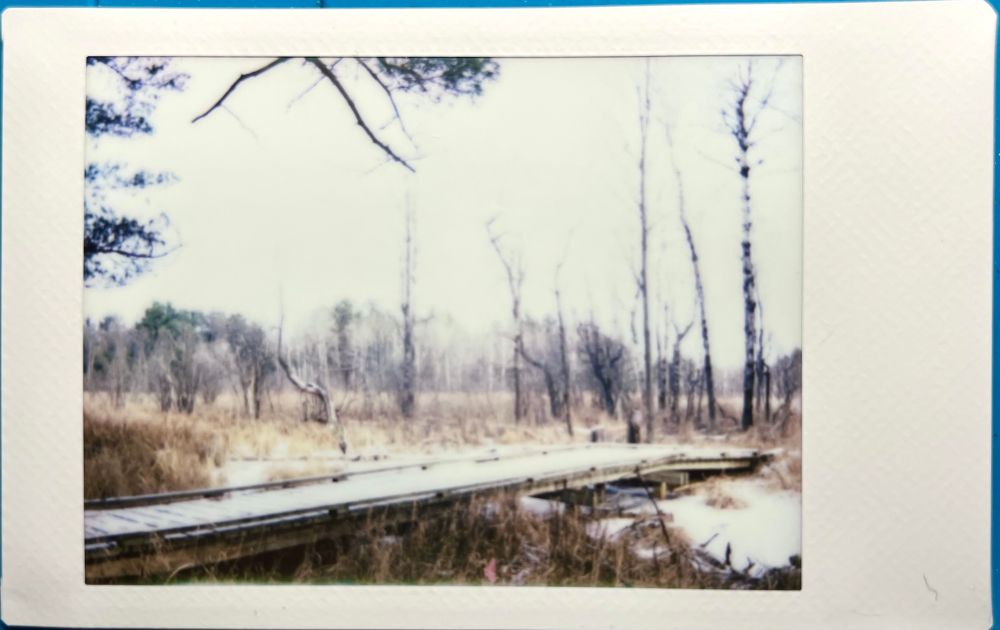 An instant photo of a boardwalk in a clearing in a wooded area, with bare birch trees in the background. The boardwalk has a dusting of snow on it as does the ground. The image is over exposed with the sky quite bright. 