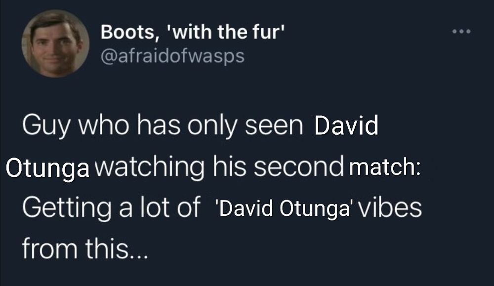 altered @afraidofwasps tweet screenshot:

Guy who has only seen David Otunga watching his second match: Getting a lot of 'David Otunga' vibes from this…