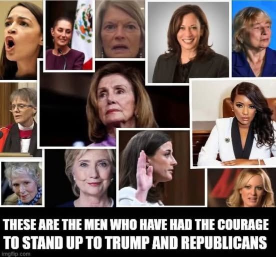 photos of women
These are the men who have had the courage to stand up to trump and republicans...all are women. 
