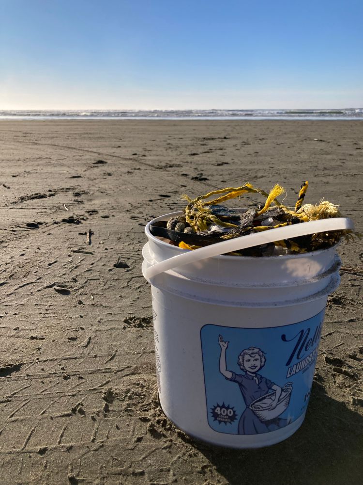 Foreground: A white bucket full of beach trash sitting on a packed sand beach; Background: small ocean waves and blue sky in the distance.