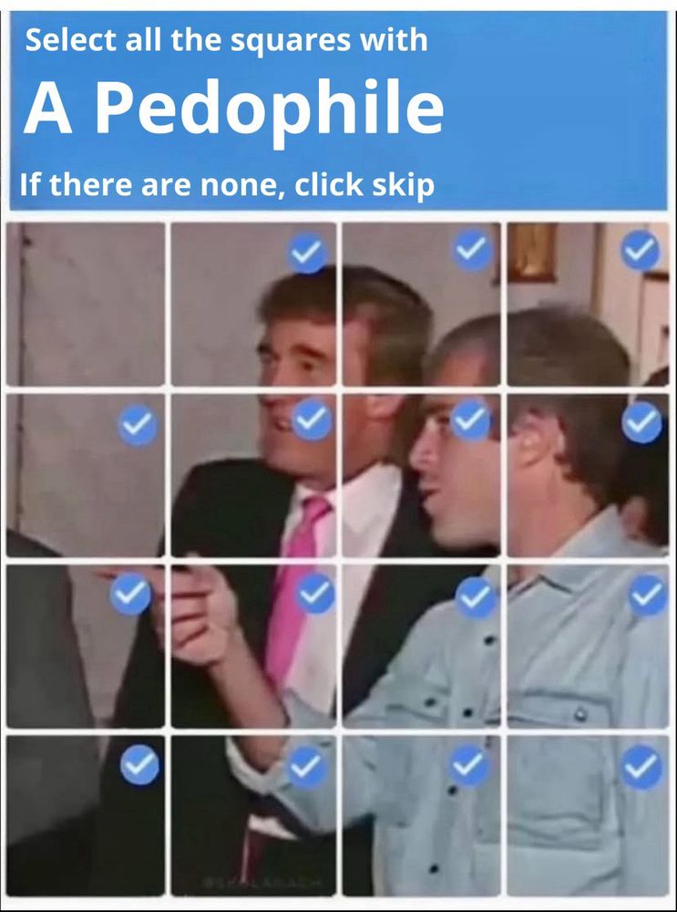 Pic of Epstein and Trump. 

Select all the squares with A Pedophile If there are none, click skip