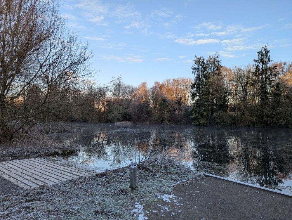 Frosty lake view with tufted ducks and slipway. Tops of the trees catching golden sunlight.