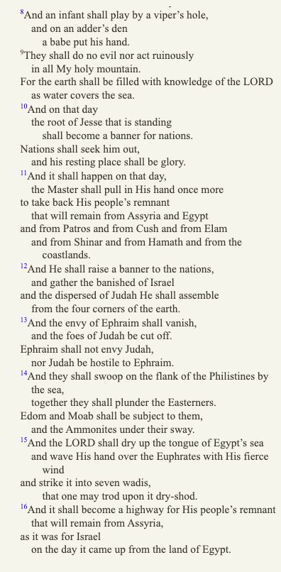 9They shall do no evil nor act ruinously

in all My holy mountain.

For the earth shall be filled with knowledge of the LORD

as water covers the sea.

10And on that day

the root of Jesse that is standing

shall become a banner for nations.

Nations shall seek him out,

and his resting place shall be glory.

11And it shall happen on that day,

the Master shall pull in His hand once more

to take back His people’s remnant

that will remain from Assyria and Egypt

and from Patros and from Cush and from Elam

and from Shinar and from Hamath and from the coastlands.

12And He shall raise a banner to the nations,

and gather the banished of Israel

and the dispersed of Judah He shall assemble

from the four corners of the earth.

13And the envy of Ephraim shall vanish,

and the foes of Judah be cut off.

Ephraim shall not envy Judah,

nor Judah be hostile to Ephraim.

14And they shall swoop on the flank of the Philistines by the sea,

together they shall plunder the Easterners.

Edom and Moab shall be subject to them,

and the Ammonites under their sway.

15And the LORD shall dry up the tongue of Egypt’s sea

and wave His hand over the Euphrates with His fierce wind

and strike it into seven wadis,

that one may trod upon it dry-shod.

16And it shall become a highway for His people’s remnant

that will remain from Assyria,

as it was for Israel

on the day it came up from the land of Egypt.