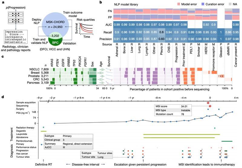 An overview of the MSK-CHORD paper's ideas, this figure contains four subfigures. 
a. MSK-CHORD creation overview.
b. NLP model performance and errors audited.
c. MSK-CHORD characteristics and survival data.
d. Patient data visualization in cBioPortal.