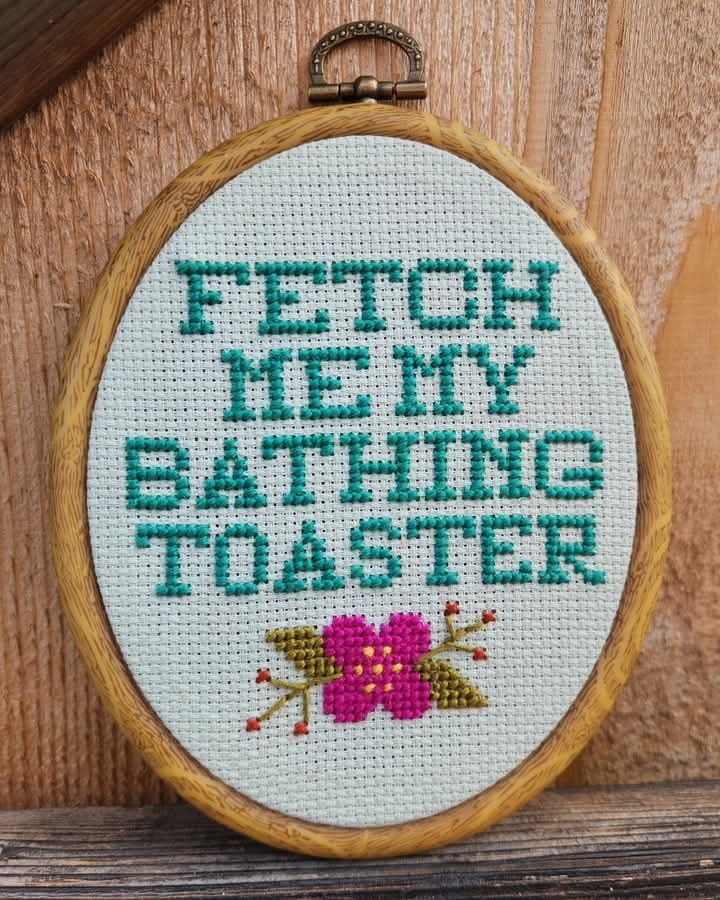 Ironic cross stitch reflective of politics in the US right now.