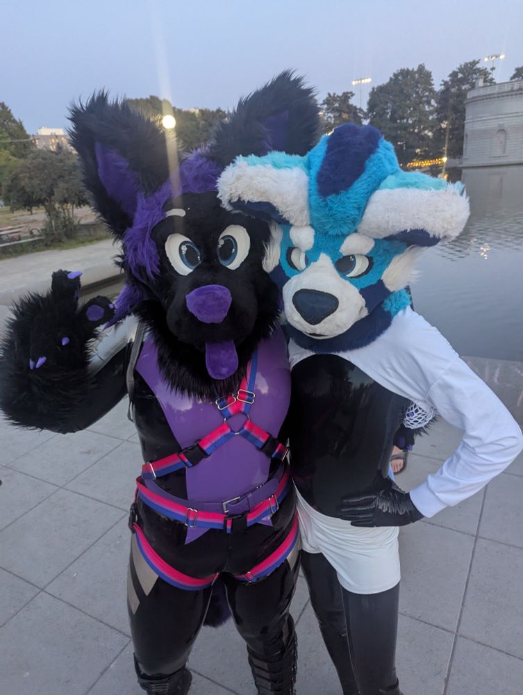 Two furries, posing for a picture. The one on the left is in a black, purple, silver latex catsuit, stompy boots, bi colored harness, and a black and purple fursuit head. The one on the right is in an all black latex catsuit, blue fursuit head, white latex shorts, and a white cloth bolo shirt.