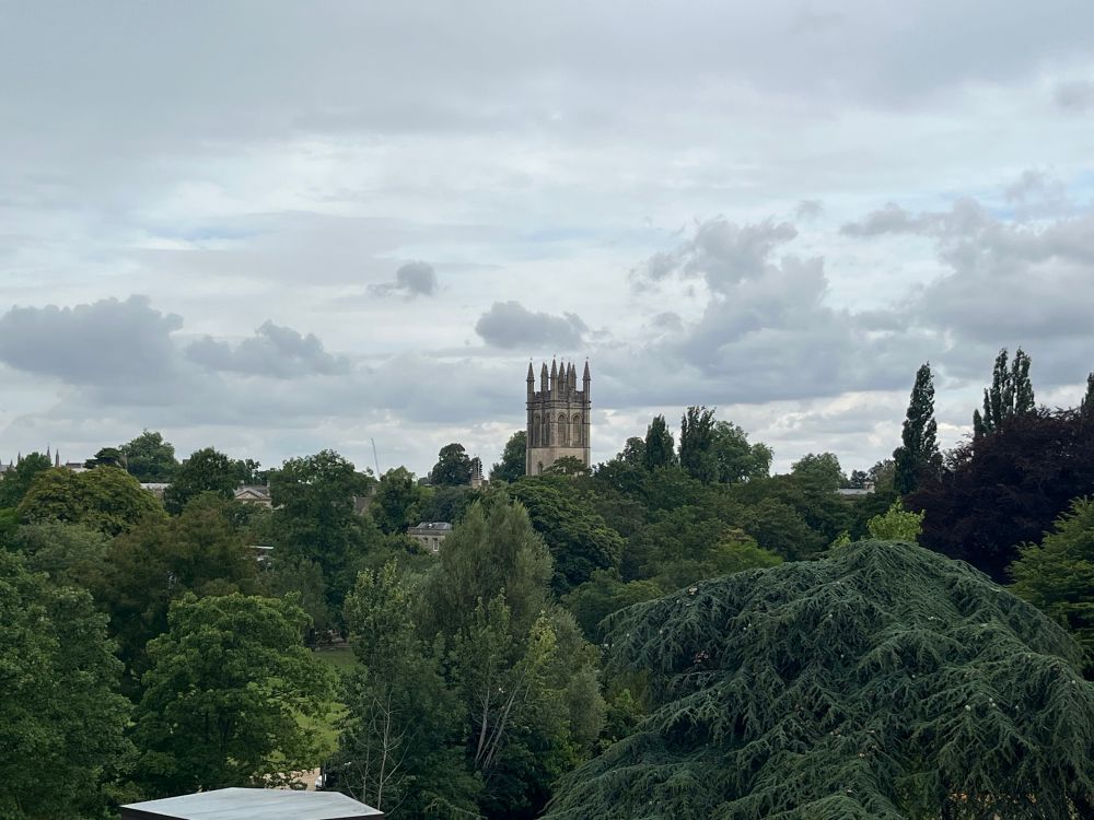 Another view