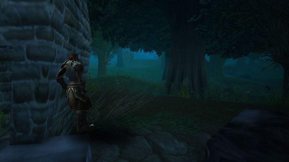 A half elf leaned on the remnants of an old, burned down home on the edge of Duskwood. She contemplates her life there as she gazes upon the golden fields of Westfall.

She wonders if Brightwood would ever return. She reminices and loses her mind in the memories. Longing for them.