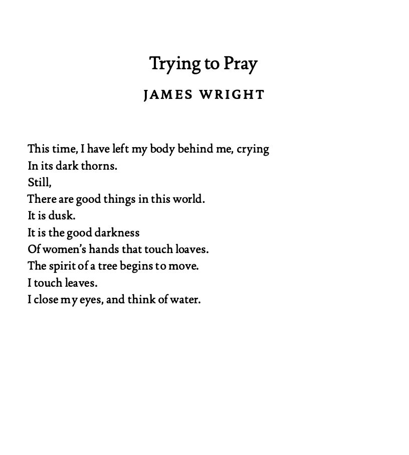Trying to Pray

-JAMES WRIGHT

This time, I have left my body behind me, crying 
In its dark thorns.
Still,
There are good things in this world.
It is dusk.
It is the good darkness
of women's hands that touch loaves. 
The spirit ofa tree begins to move.
I touch leaves.
I close my eyes, and think ofwater.