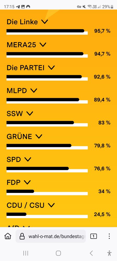 Wahl-o-mat Ergebnis:
95,7 % für die Linke