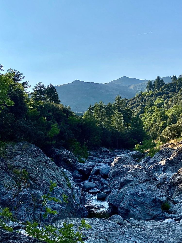 Mont Lozère.